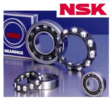 nsk 6006du bearing