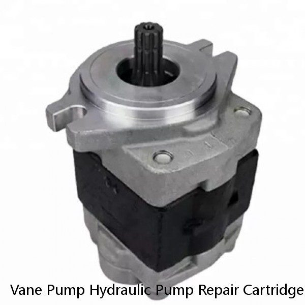 Vane Pump Hydraulic Pump Repair Cartridge Kits