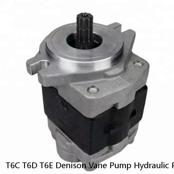 T6C T6D T6E Denison Vane Pump Hydraulic Pump Spare Parts